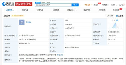 信息技術(shù)咨詢服務(wù) 企業(yè)數(shù)字化轉(zhuǎn)型的智慧引擎