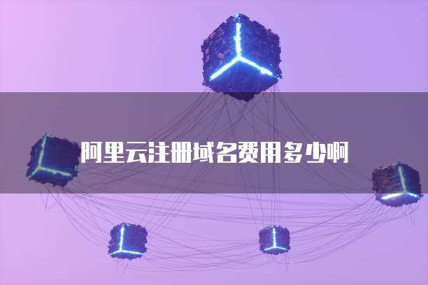 萬(wàn)網(wǎng)域名注冊(cè)費(fèi)用詳解與互聯(lián)網(wǎng)域名注冊(cè)服務(wù)指南